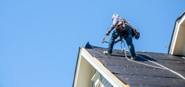 Best Roof Gutter Cleaning  in Corning, IA